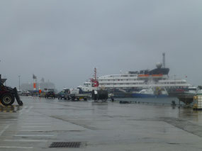Cruise Ship