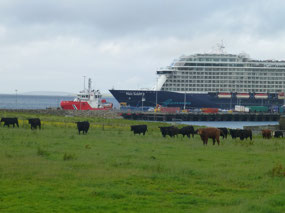 Ships
