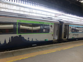 Decorated Train