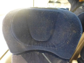 Dirt on Seat