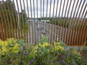 Bridge Overpass