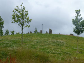 Distant View