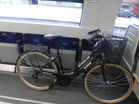 Bike Train