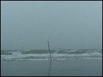 Hermine - Sea Wall Blvd 