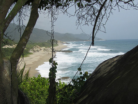 The beach