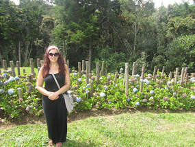 Nice flowers
