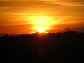 Sunset in Tim's back garden