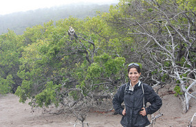 Sol our guide with a Galapagos Hawk