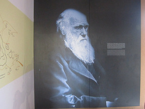 Charles Darwin