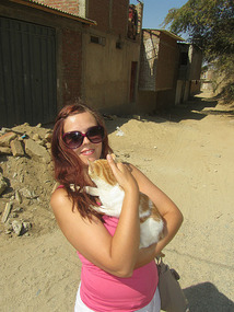 Cute cat