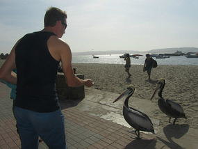 Feeding time