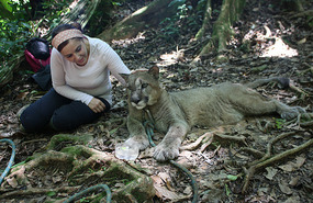 Gato and I 