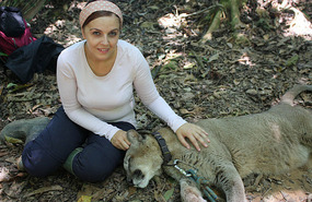 Gato and I 