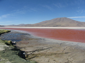 Laguna Colorada