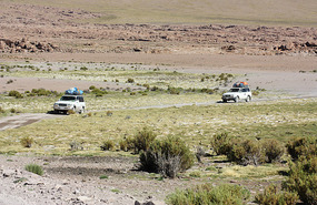 Other jeeps 