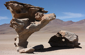 Desierto de Siloli - Arbol de Piedra