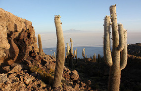 Incahuassi Island