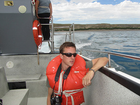 Looking for whales