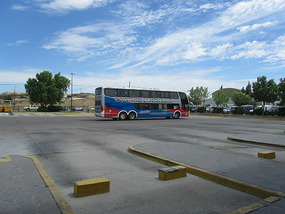 Our bus