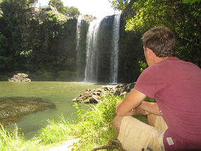 Whangarei Falls