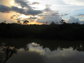 Lush sunset