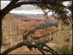 Bryce Canyon, with obligatory foreground framing