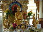 Neon lights behind Buddha statues??