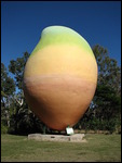 Big Mango at Bowen