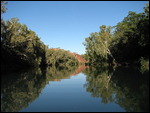 Lawn Hill Gorge 