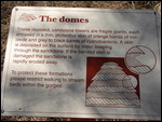 The Domes
