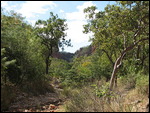 Walk to Emma Gorge