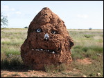Termite Mound at Exmouth