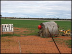 Merredin roadside amusement
