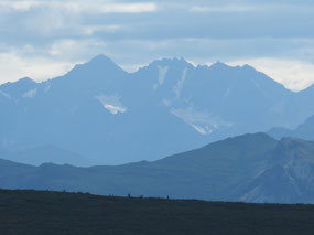 Denali National Park