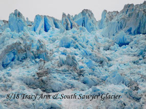 Tracy Arm & South Sawyer Glacier