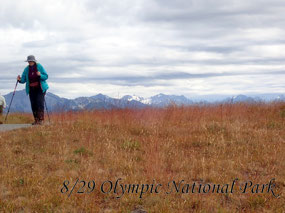 Olympic Nation park