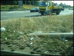 Littlerbugs everywhere in the world!