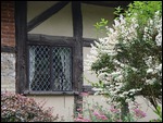 Anne Hathaway's cottage