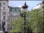 Trafalgar Square