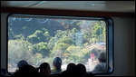 Tambor Ferries Paquera to Puntarenas dock