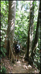 hike to Uvita Waterfall