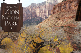 Heavenly Zion National Park