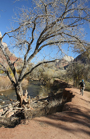 Watchman Campground