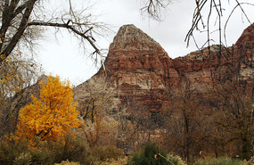Zion !