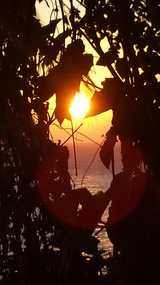 Last day sunrise Montezuma