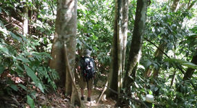 hike to Uvita Waterfall