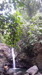 Uvita