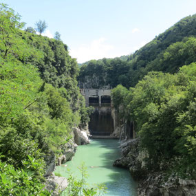 Fabulous Slovenia Safari with Vlado !