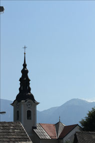 Fabulous Slovenia Safari with Vlado !