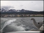 Boat trip up the Beagle Channel